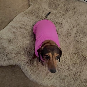 Jennifer added a photo of their purchase