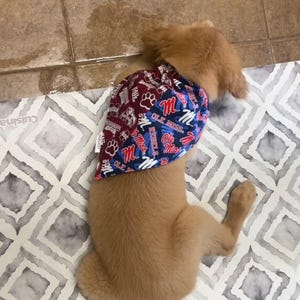 Samantha added a photo of their purchase