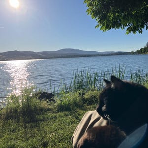 Bryan added a photo of their purchase