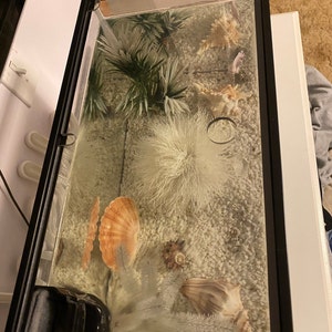 Patti added a photo of their purchase