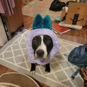 Bridget added a photo of their purchase