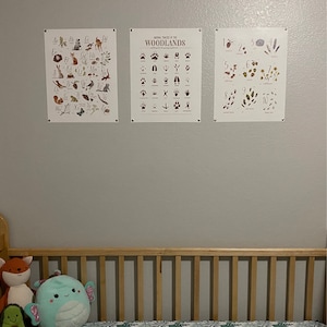 Chloe added a photo of their purchase