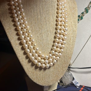 maria added a photo of their purchase