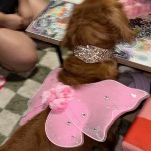 Daniela added a photo of their purchase