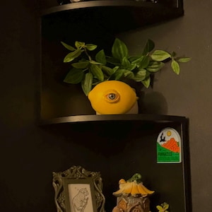 Realistic Life Sized Freaky Fruit All Seeing Lemon by Dead Head Props ...