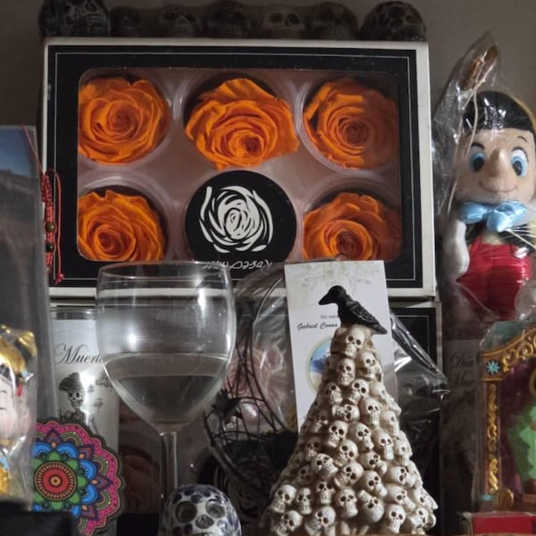 Preserved Rose Six Packs in Size L, Make Your Own Centerpieces and ...