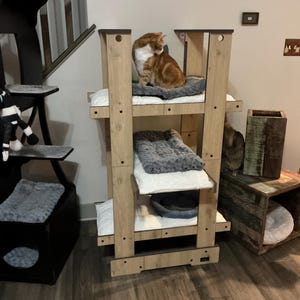Annette added a photo of their purchase
