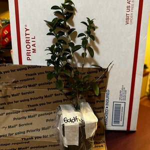 EJ added a photo of their purchase