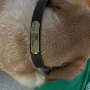 Shandrica added a photo of their purchase