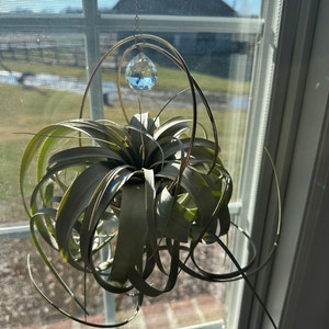 MELANIE added a photo of their purchase