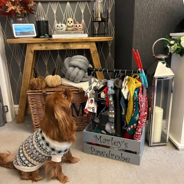 White Dog Wardrobe, Dog Wardrobe, Dog Storage Rail, Wardrobe for Dogs