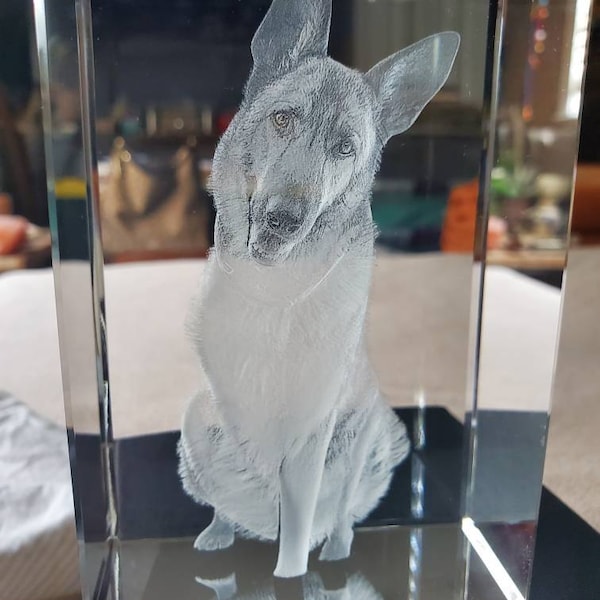 Dog Memorial Gift Memorial Gift for Dogs Pet Memorial Gift Custom ...