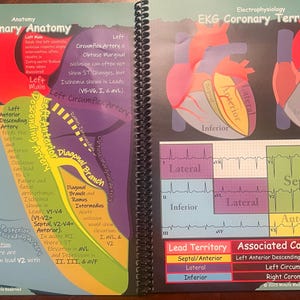 Enrique hat ein Foto des gekauften Artikels hinzugefügt