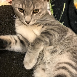 Mignonne さんが購入した商品の写真を追加しました