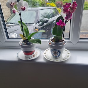 Louise added a photo of their purchase