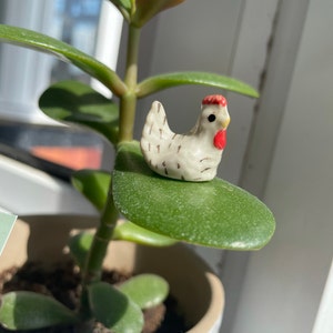 Isabelle ha añadido una foto de su compra