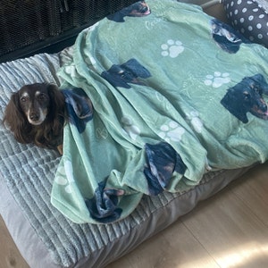 Dalton added a photo of their purchase