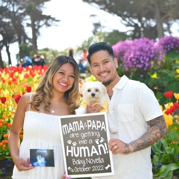 PRINTABLE Mom & Dad Are Getting Me A Human - Chalkboard Pregnancy Baby ...