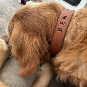Kelly a ajouté une photo de son achat