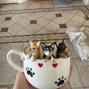 Alli added a photo of their purchase