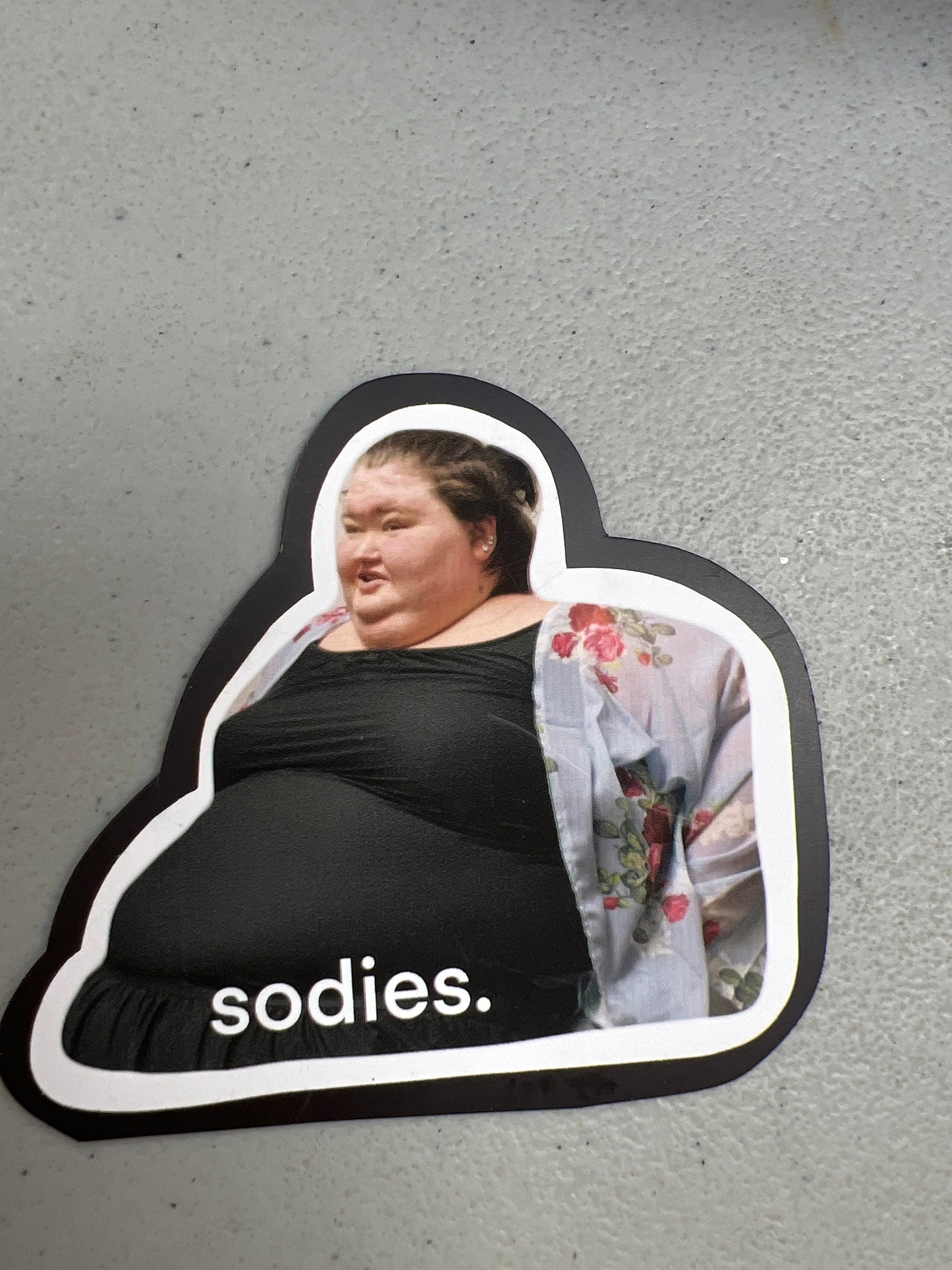 Amy Slaton magnet, 1000 lb sisters magnet, funny fridge magnet, sodies, TLC show, 1000 pound sisters, my 600 pound life, my bills are paid