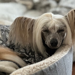 Georgina heeft een foto van zijn/haar aankoop toegevoegd