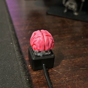 Camran added a photo of their purchase