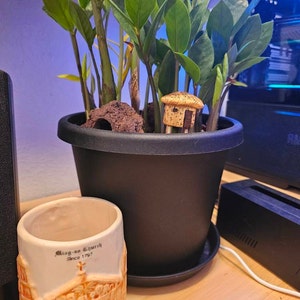 Raymond added a photo of their purchase