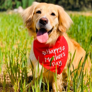 For Mums Birthday Spoilt Rotten Pets S3 I Love My Fur Mama Red Dog Bandana Medium Dogs Dalmatians, Labrador & Staffies Mothers Day & Christmas