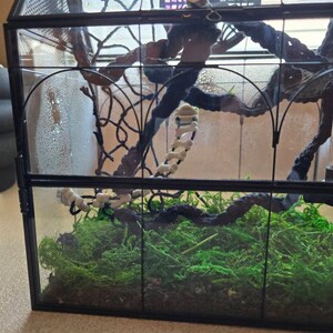 Annette added a photo of their purchase