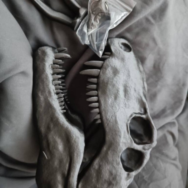 Dimetrodon Skull Art - Dinosaur Wall Mount - 3D Printed - Etsy