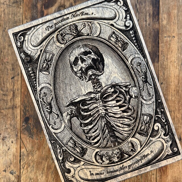 Memento Mori Decor Gothic Wall Decor, Macabre Wall Art Wood