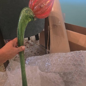 Luisa added a photo of their purchase