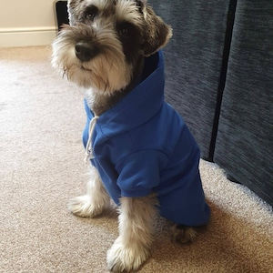 Blue Dog Sweater