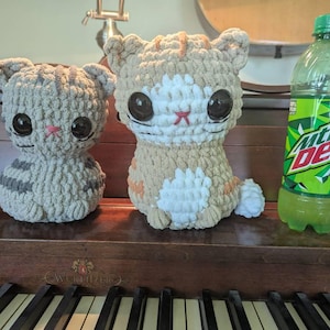 Sue added a photo of their purchase