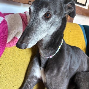 Louise added a photo of their purchase