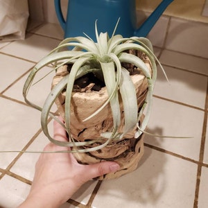 Katie added a photo of their purchase