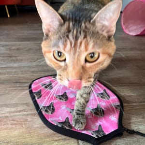 Zoe さんが購入した商品の写真を追加しました