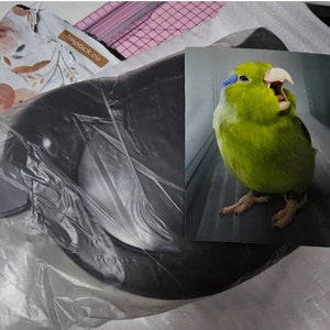 Fabiola added a photo of their purchase