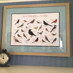 Florida Backyard Birds Field Guide Art Print / Watercolor Painting ...