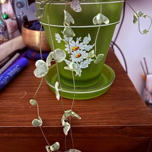 Nich added a photo of their purchase