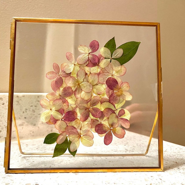 Glass Frame for Pressed Flowers, Leaf and Artwork - Hanging Gold 6x6 Square  Metal Picture Frames, Clear Double Glass Floating Frame, Wall Decor Photo