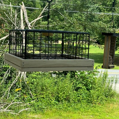 Cedar Bird Feeder With Double Plastic Window And Suet Holder Cages