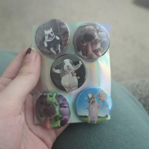 Pibble Pin Pibble Dog Pinback Buttons - Puppy Meme Pins, Set of 5 - Etsy