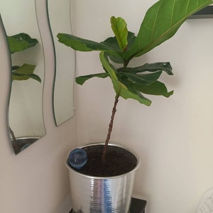 Selina added a photo of their purchase