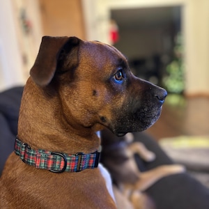 Katie ha añadido una foto de su compra
