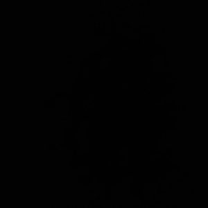 Kati added a photo of their purchase
