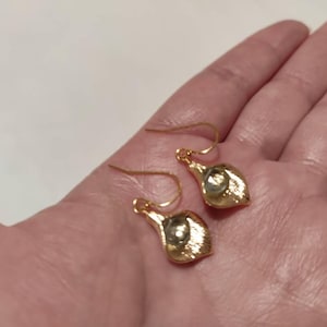 Mariana added a photo of their purchase