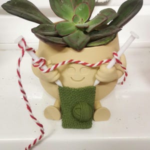 Hayley added a photo of their purchase