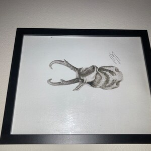 Emily さんが購入した商品の写真を追加しました